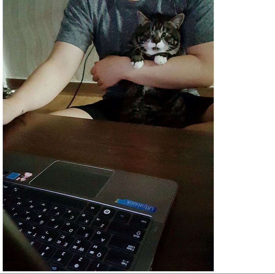 울집 냐옹이에게 야동보여줌.jpg | 인스티즈