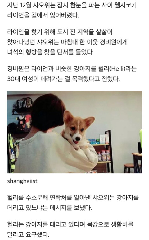 이웃이 6층 베란다서 던져 숨진 웰시코기 반려견 끌어안고 '오열'한 주인 | 인스티즈