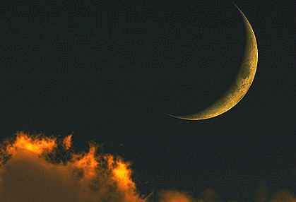 밤마다 인생을 미워하고 잠이들었던 그대, 굳이 인생을 사랑하지 않아도좋다 (글귀모음) | 인스티즈