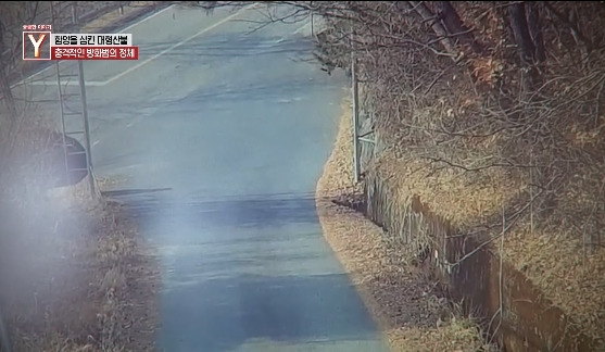 이번에 불다람쥐가 새롭게 불태운 우리 산간 면적 | 인스티즈