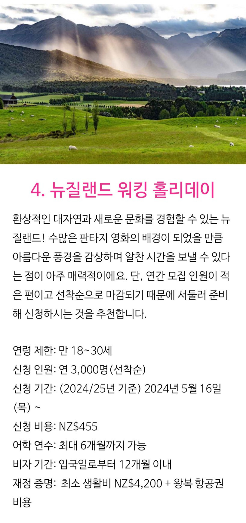 한국인에게 인기있는 워홀 국가 TOP5 | 인스티즈