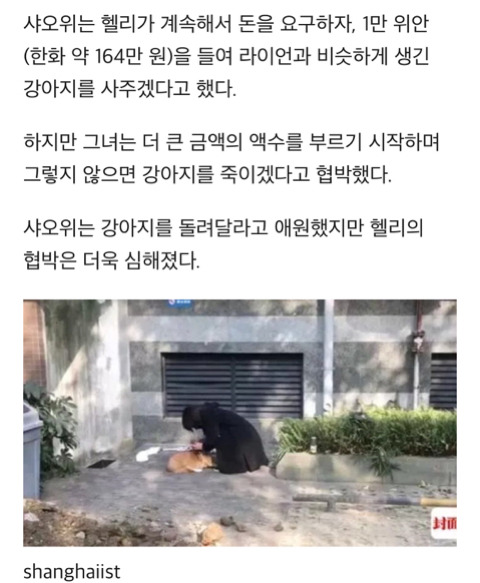 이웃이 6층 베란다서 던져 숨진 웰시코기 반려견 끌어안고 '오열'한 주인 | 인스티즈