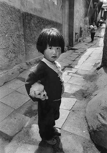 1970년도 그시절 강아지들 | 인스티즈