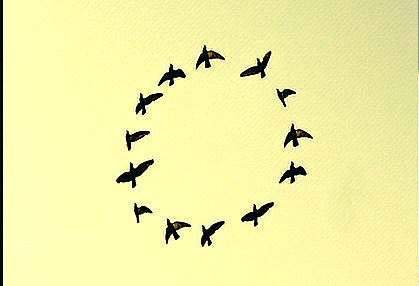 밤마다 인생을 미워하고 잠이들었던 그대, 굳이 인생을 사랑하지 않아도좋다 (글귀모음) | 인스티즈