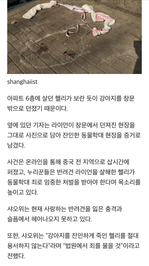 이웃이 6층 베란다서 던져 숨진 웰시코기 반려견 끌어안고 '오열'한 주인 | 인스티즈