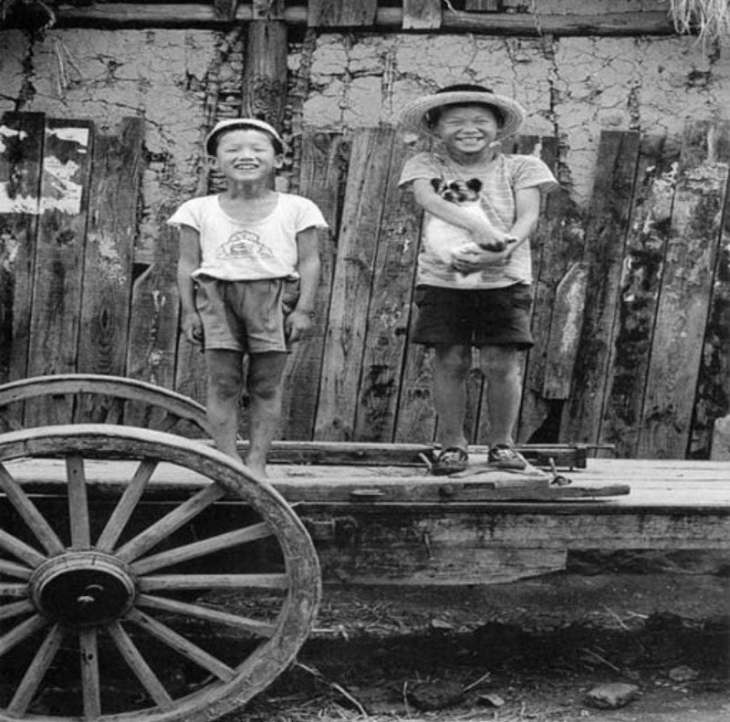 1970년도 그시절 강아지들 | 인스티즈