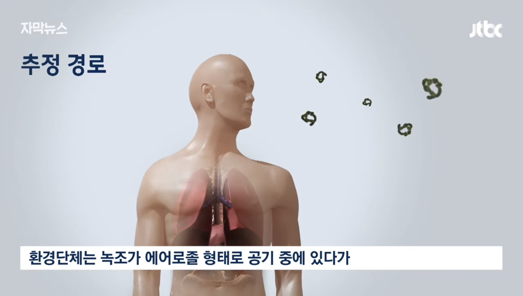 4대강 근황 | 인스티즈