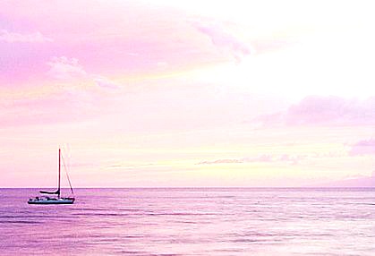 밤마다 인생을 미워하고 잠이들었던 그대, 굳이 인생을 사랑하지 않아도좋다 (글귀모음) | 인스티즈