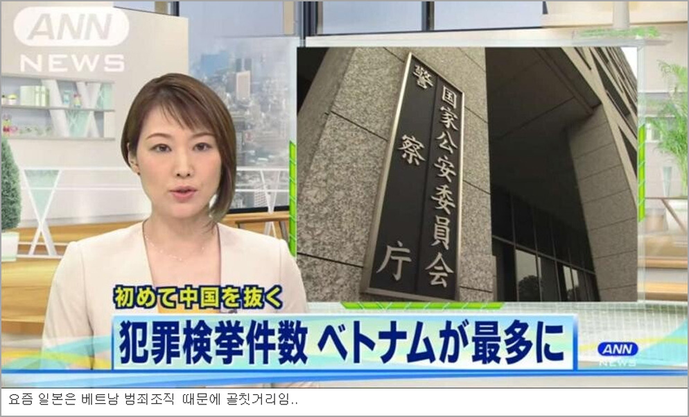일본 사회의 골칫거리가 됐다는 베트남 사람들 | 인스티즈