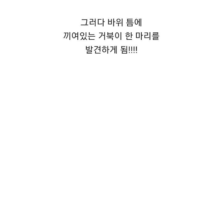 바위 틈에 빠진 바다 거북이를 구하는 커플 | 인스티즈