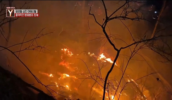 이번에 불다람쥐가 새롭게 불태운 우리 산간 면적 | 인스티즈
