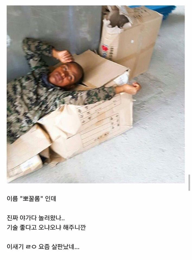 노가다하는 갤러의 글.jpg | 인스티즈