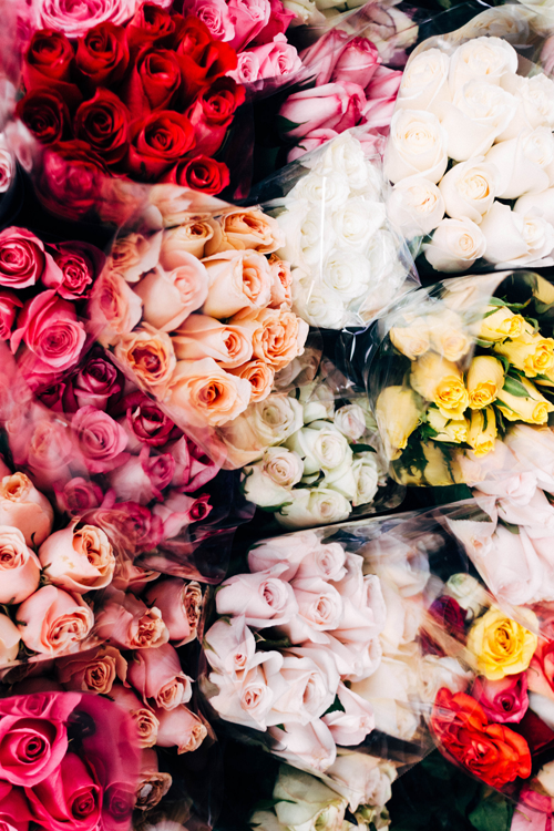 네가 나의 자랑이란걸 기억력이 좋은 네가 기억하기를,바라면서 나는 얼쩡거렸지 | 인스티즈