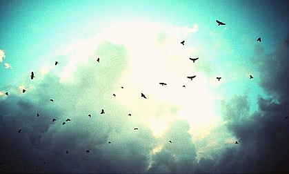 밤마다 인생을 미워하고 잠이들었던 그대, 굳이 인생을 사랑하지 않아도좋다 (글귀모음) | 인스티즈