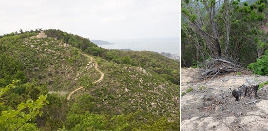 대한민국 역대 3위의 현상금이 걸렸었던 현상수배범 | 인스티즈