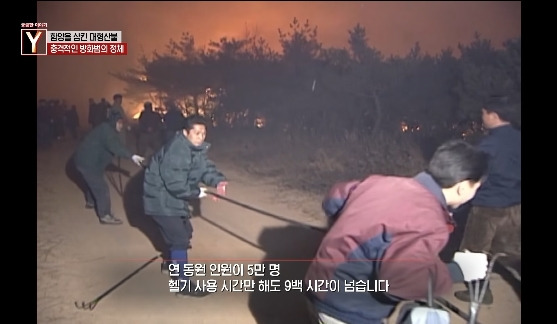 이번에 불다람쥐가 새롭게 불태운 우리 산간 면적 | 인스티즈