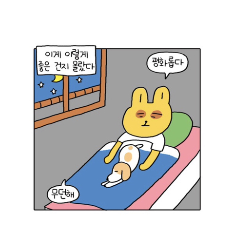 무기력하고 우울하기만 한 내가 성취감을 가진다는건 일생의 중요한 사건이었다 | 인스티즈