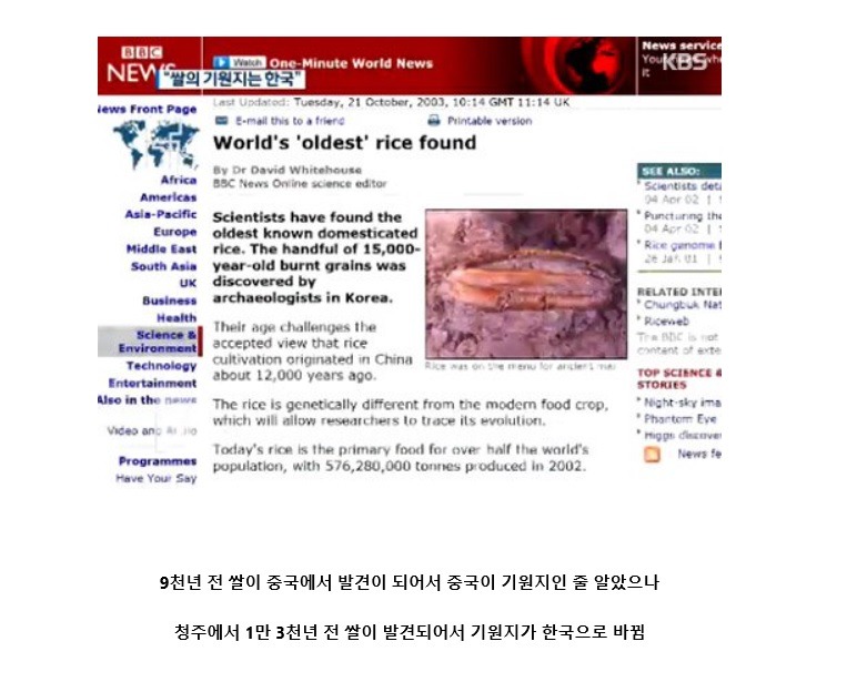 쌀의 기원지는 한국 | 인스티즈