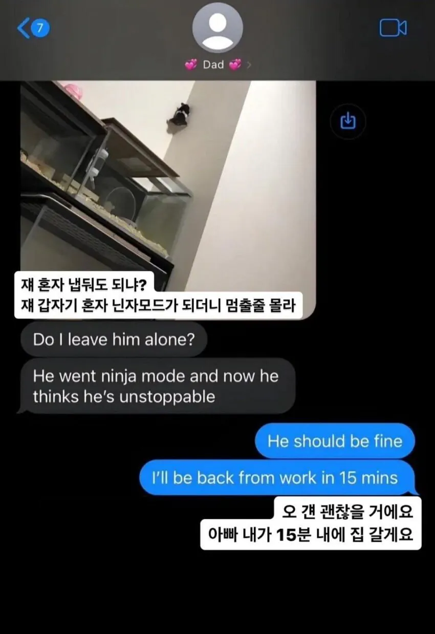 햄스터때문에 당황한 아버지 | 인스티즈