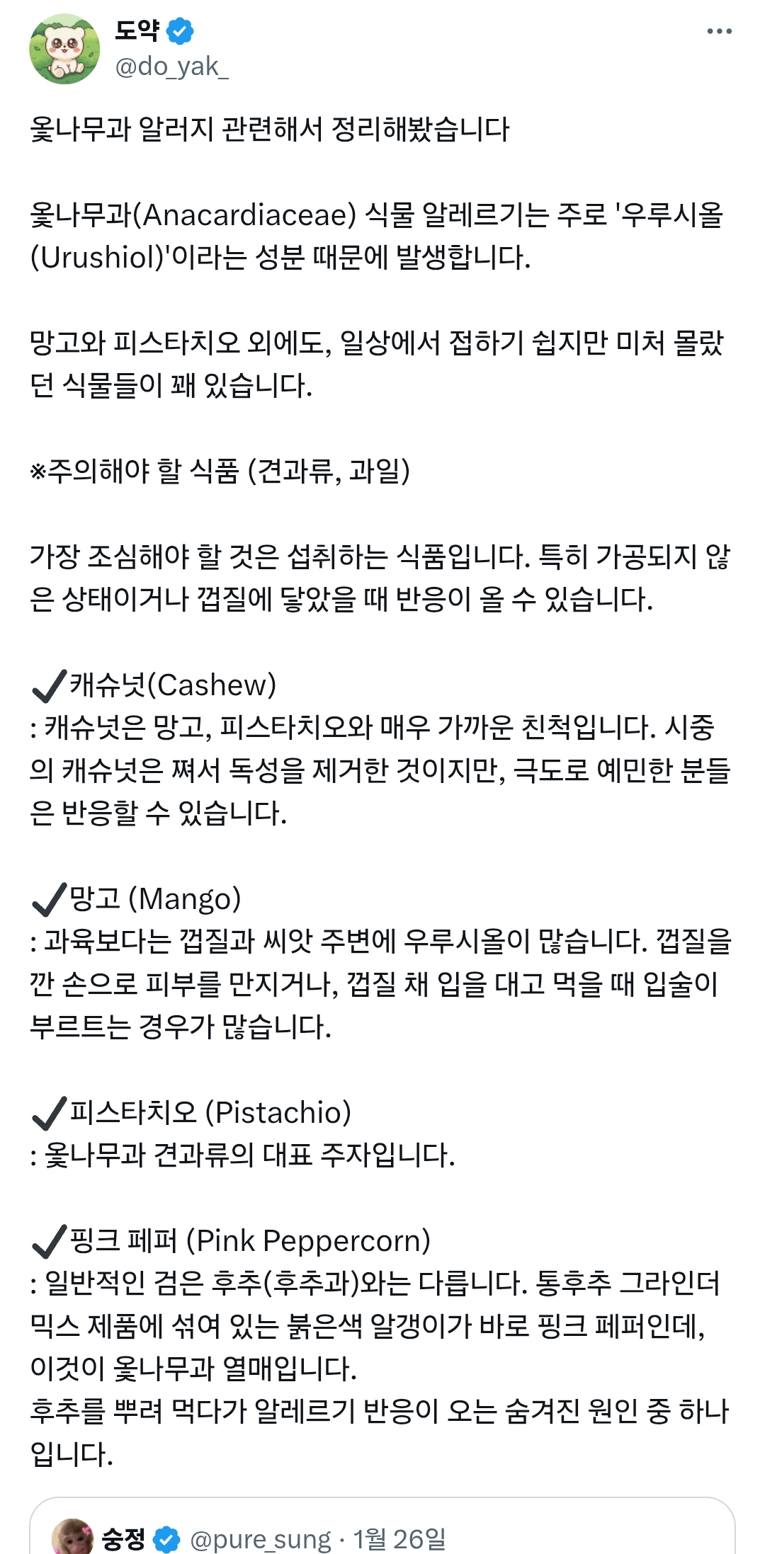 피스타치오도 옻나무과 식물이라 옻 알레르기 있으시면 위험함.twt | 인스티즈