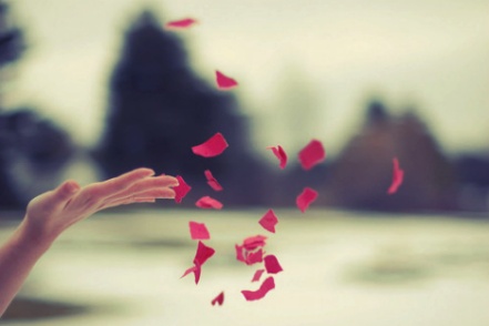 밤마다 인생을 미워하고 잠이들었던 그대, 굳이 인생을 사랑하지 않아도좋다 (글귀모음) | 인스티즈