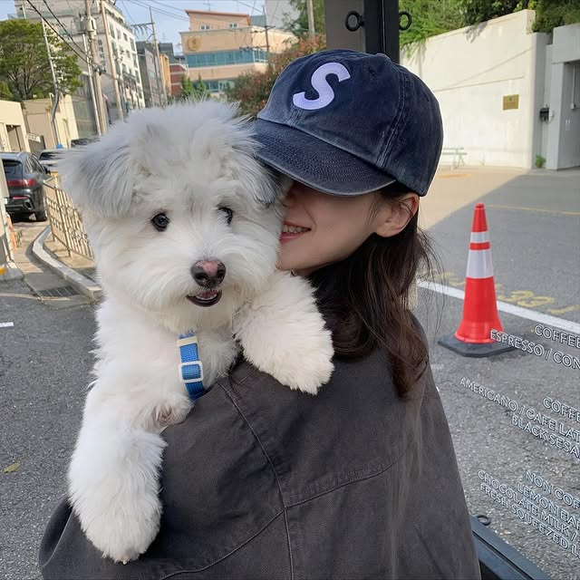은근히 이쁜 인스타 인플루언서 @imjoo_ | 인스티즈