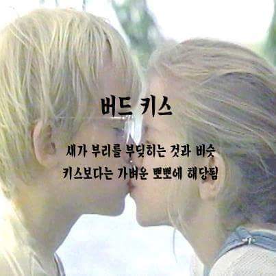 키스의 종류 | 인스티즈