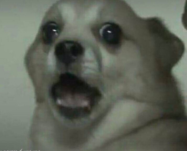 왜 외국인들이 유독 한국인한테만 성형으로 난리칠까?? (feat. 열폭의 산물) | 인스티즈