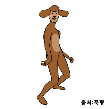 ㅋㅋㅋㅋㅅㅂ 나 옛날에 우리 강아지 그림으로 카카오톡 이모티콘 만들려고 했었는데ㅋㅋㅋㅋ.gif | 인스티즈
