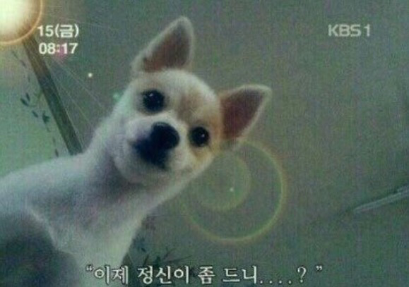 혼자 집에서 할 수 있는 잼는 놀이들 ㅇㅅaㅇ | 인스티즈