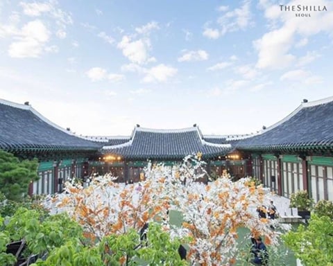 결혼식계 끝판왕이라는 신라호텔 웨딩.jpg (견적 알려줌) | 인스티즈