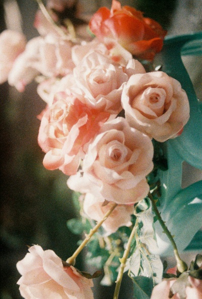 네가 나의 자랑이란걸 기억력이 좋은 네가 기억하기를,바라면서 나는 얼쩡거렸지 | 인스티즈