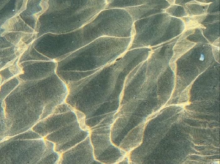 누군가 내 튼살을 물에 비친 햇살과 같다고 말한 이후로 나는 내 튼살을 좋아하게 됐어요 | 인스티즈