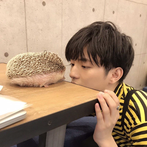 엔시티 태용 닮았다는 일본인배우 | 인스티즈