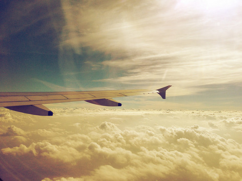  당신을 바로 눈앞에서 보고 있으면서도 나는 여전히 당신이 그리웠다 | 인스티즈