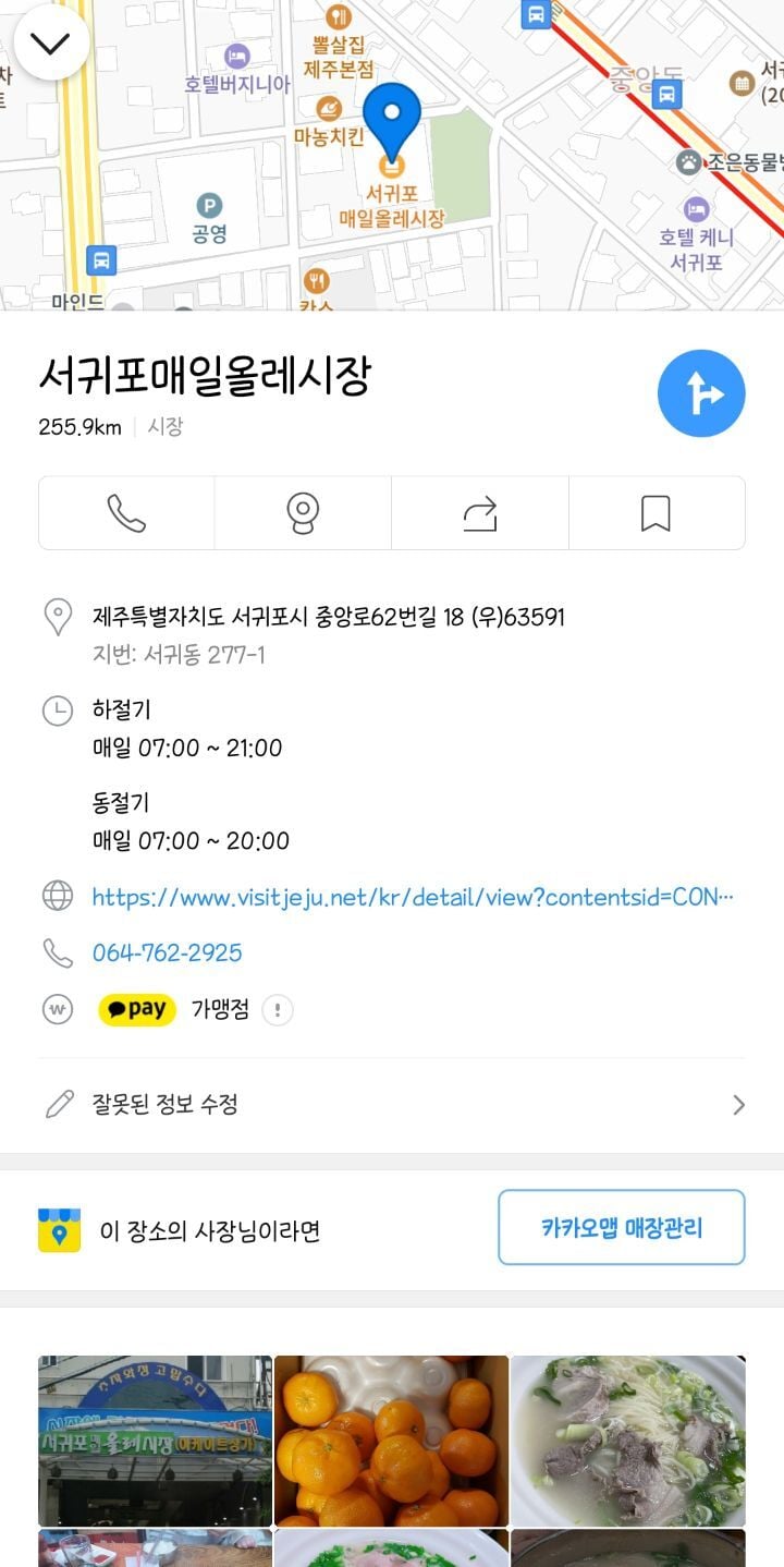 반년동안 제주도에 300만원 쓴 대학생의 제주 여행지 추천 | 인스티즈