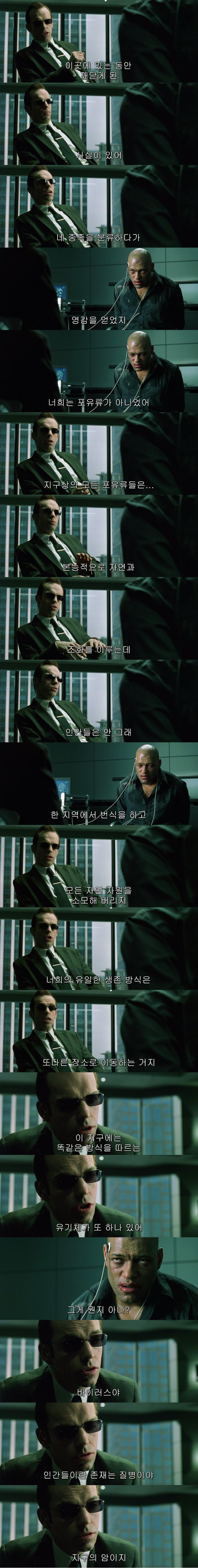 여운을 남기는 영화 속 장면 & 대사들 | 인스티즈