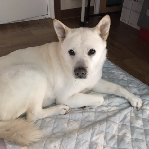 우리 애 아빠 보는 눈빛 봐 | 인스티즈