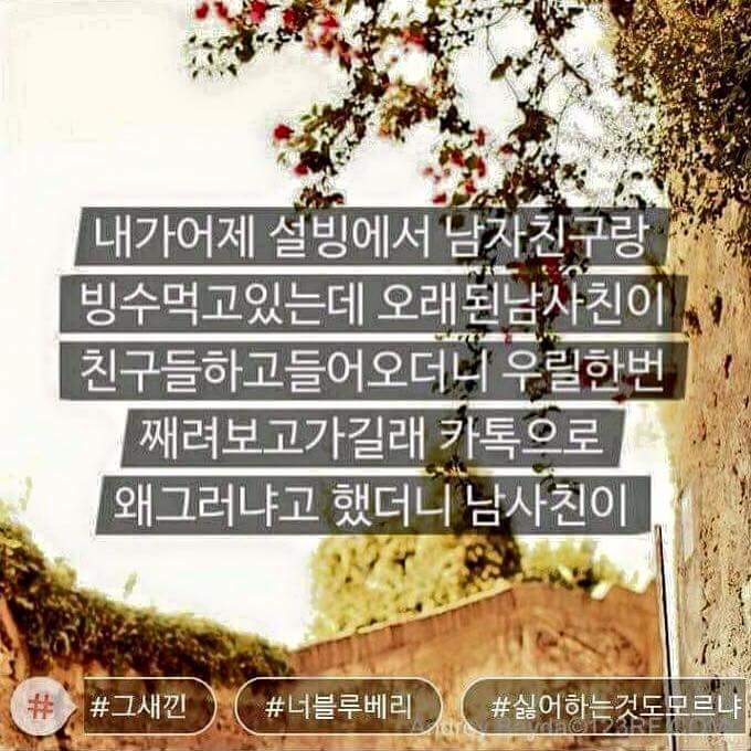 한때 유행했던 모씨감성.jpg | 인스티즈