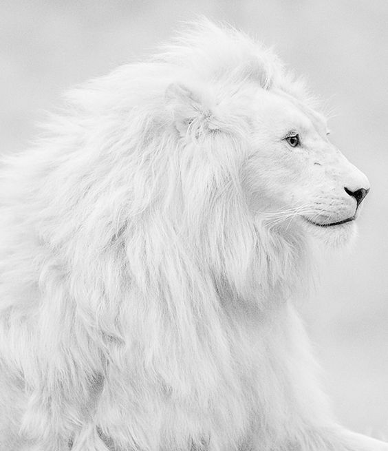 견빈 오징어행.jpg | 인스티즈