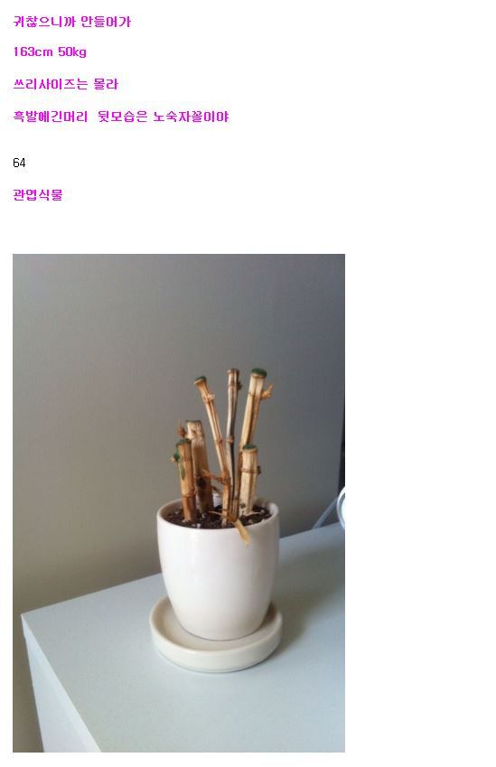 일본의 씻지않는 히키코모리 인증女 | 인스티즈