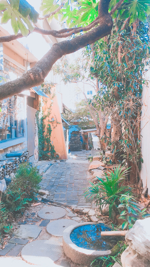 부산 여행 사진찍기 좋은 곳 | 인스티즈