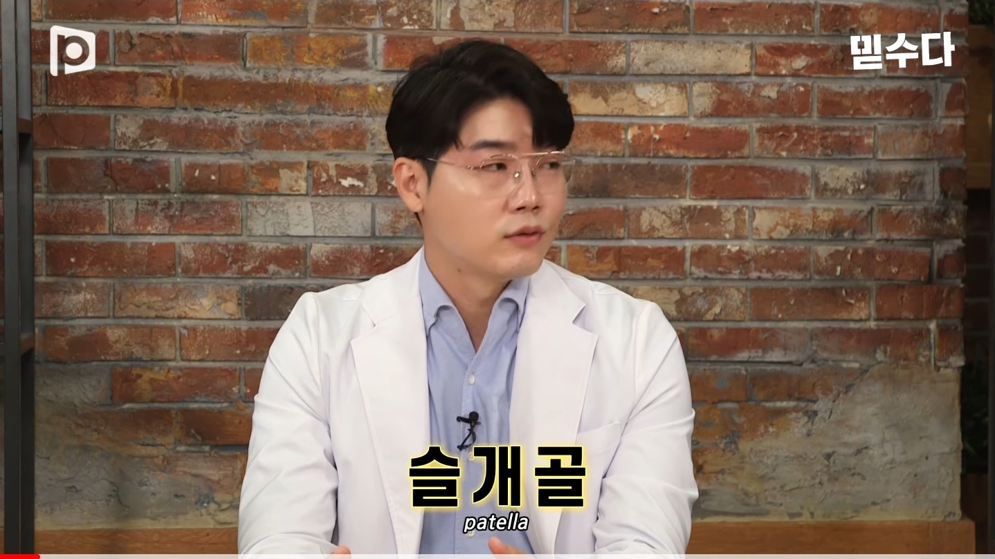 한국에만 슬개골 탈구 강아지가 많은 이유 | 인스티즈