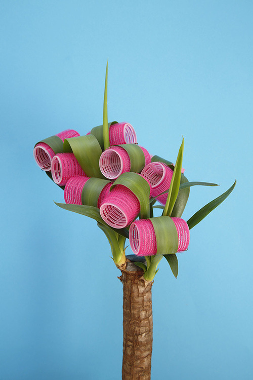 색다른 해석으로 찍어낸 독특하고 컬러풀한 사진들 | 인스티즈