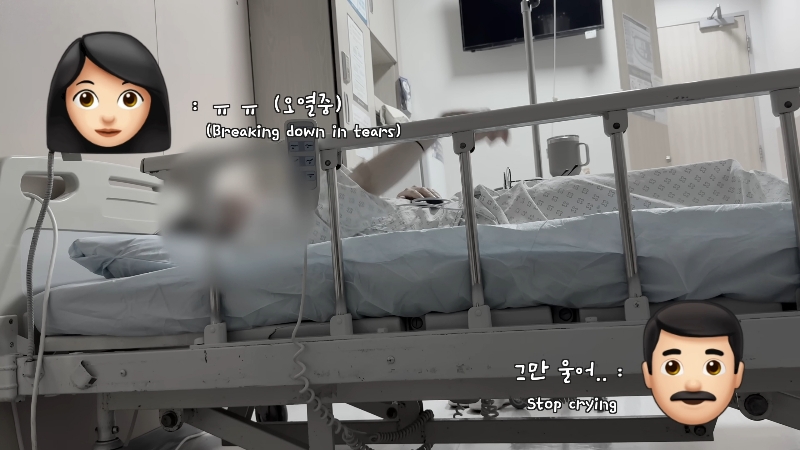 죽다 살아나 반려견 걱정에 오열하는 반려인 | 인스티즈