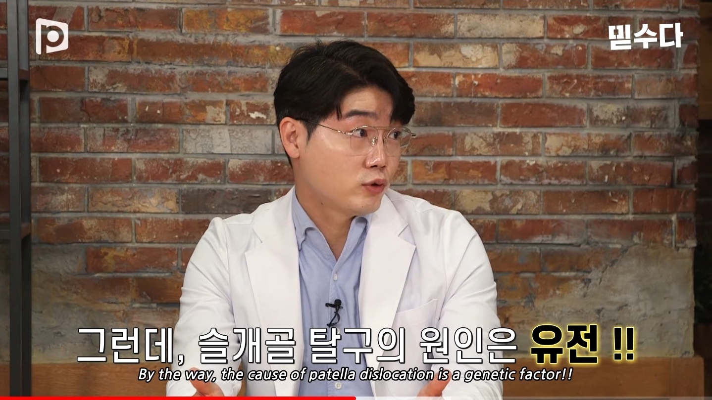 한국에만 슬개골 탈구 강아지가 많은 이유 | 인스티즈