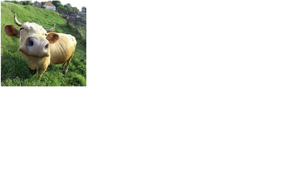 수포자를 수학고수로 만드는 노하우 (1탄. 인수분해 공식을 외우는 방법) | 인스티즈