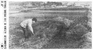 너는 자수하지 않으면 사지가 썩어 죽는다 | 인스티즈