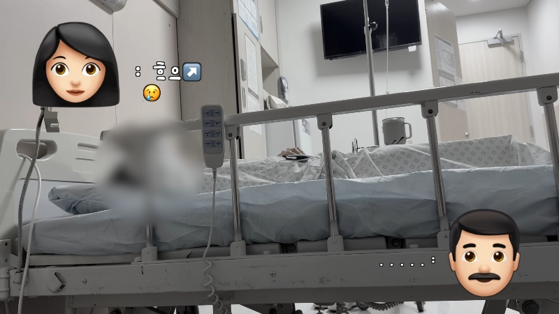 죽다 살아나 반려견 걱정에 오열하는 반려인 | 인스티즈