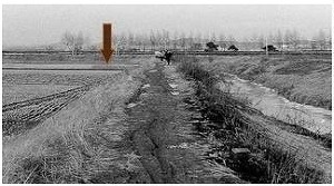 너는 자수하지 않으면 사지가 썩어 죽는다 | 인스티즈